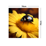 Beetle